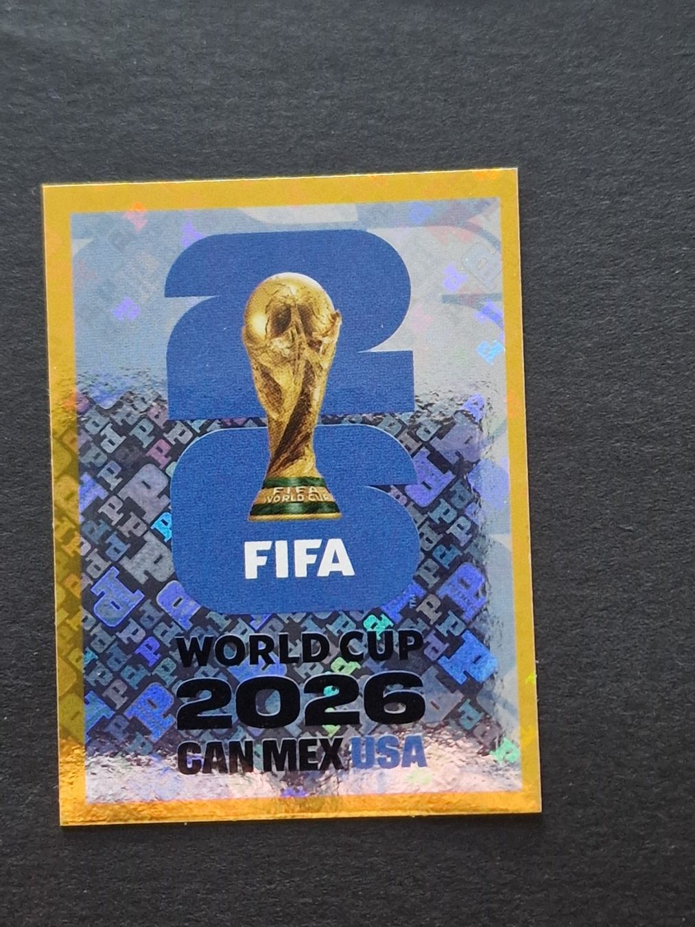 Panini Carte collezionabili: Panini - FWC 8 – Nuovo (secondo la descrizione) da Bouveret venduto da psv01