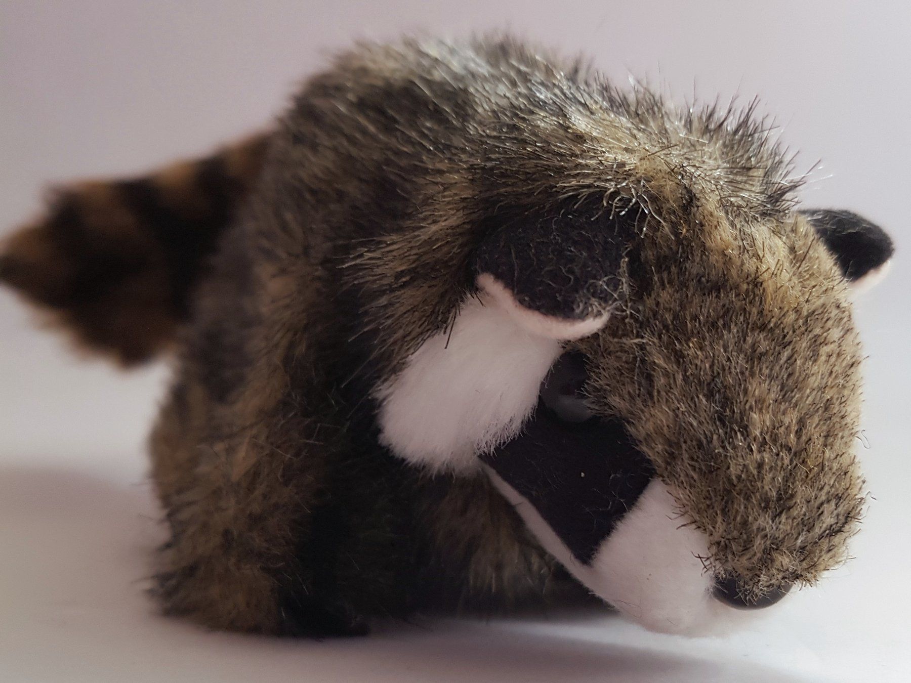 Bambole: FOLKMANIS: Fingerpuppe Waschbär  / NEU – Nuovo e nell'imballaggio originale da Dürrenäsch venduto da Didaedi 3