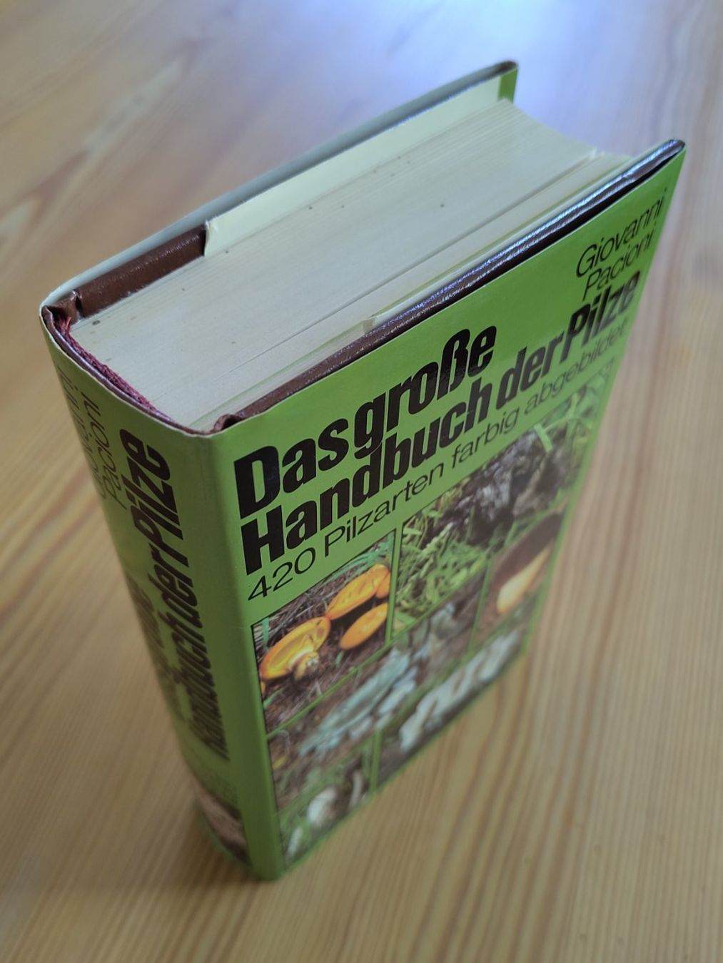 Bücher: Pilzführer "Das grosse Handbuch der Pilze" – Gebraucht aus Möhlin von MeisterHora 7