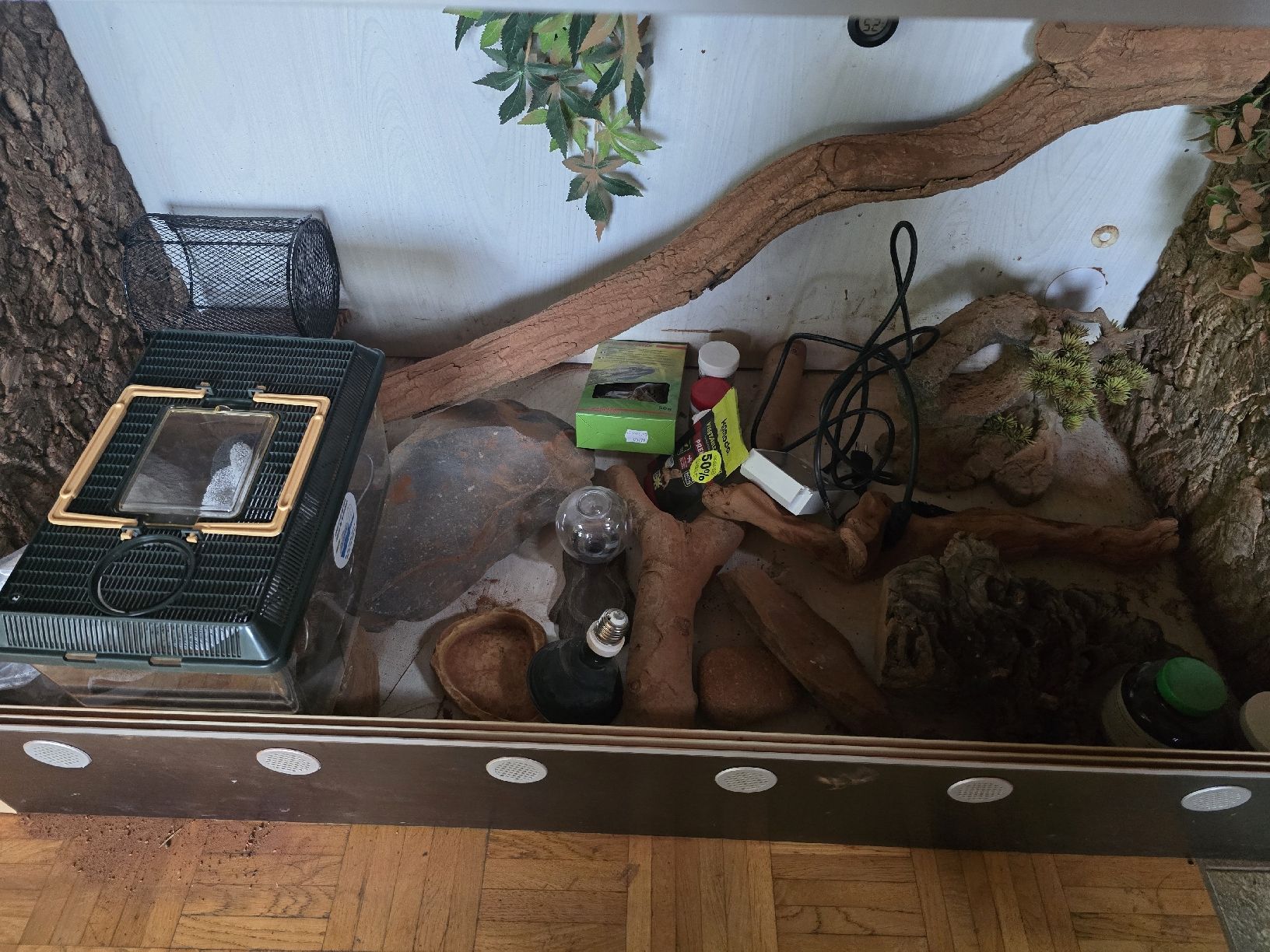 Terrario: terrarium maison – Usato da Domdidier venduto da HASGHARD 1