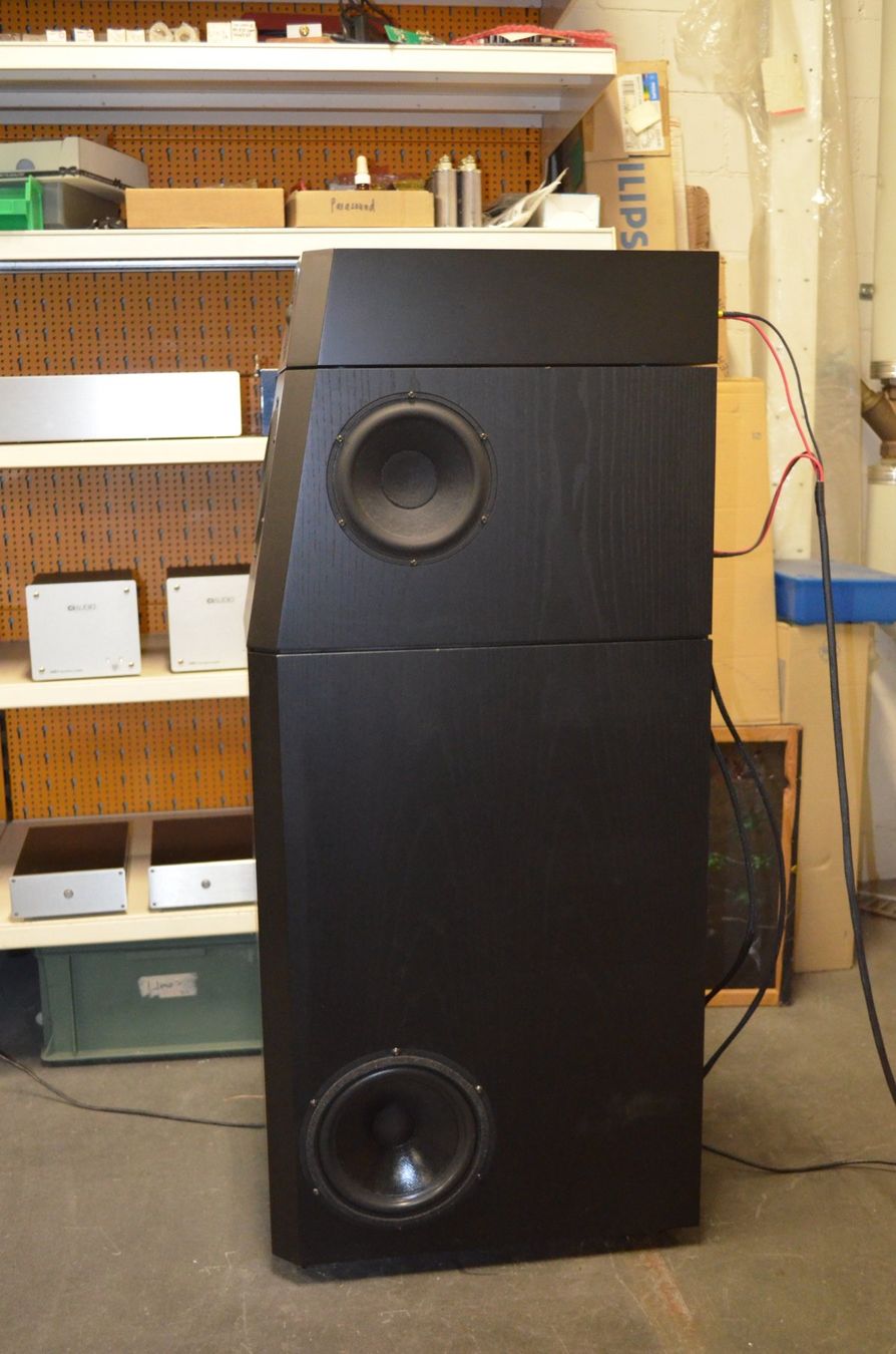 Casse acustiche: Audio Physic Caldera Traumlautsprecher – Usato da Wohlen AG venduto da strowo 3