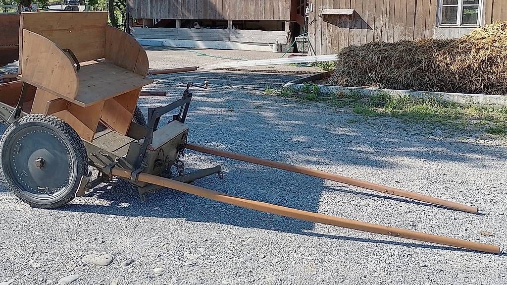 Kutschen: Trainwägeli – Gebraucht aus Burgdorf von RosiVera