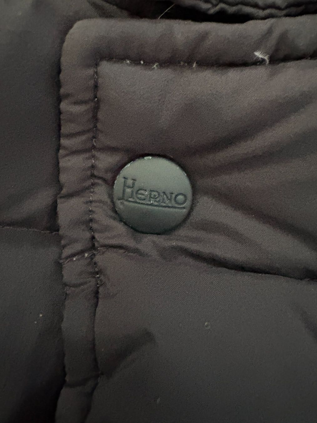 Herno Jacken: Herno Herren Daunenjacke Gr. 48 – Gebraucht aus Allschwil von den_t9cl 6