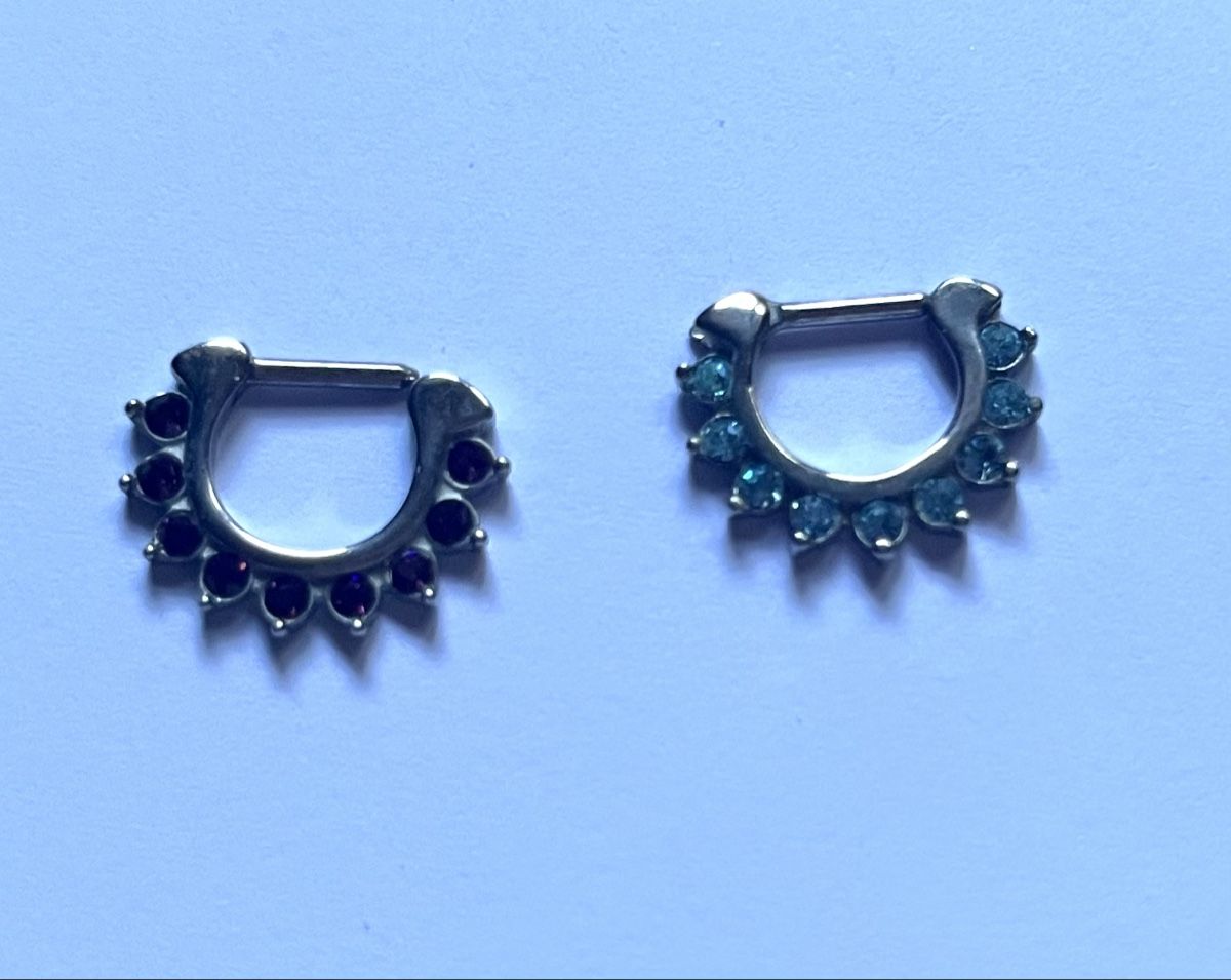 Piercingschmuck: 2 Piercings  – Gebraucht aus Hochdorf von Forestgreen