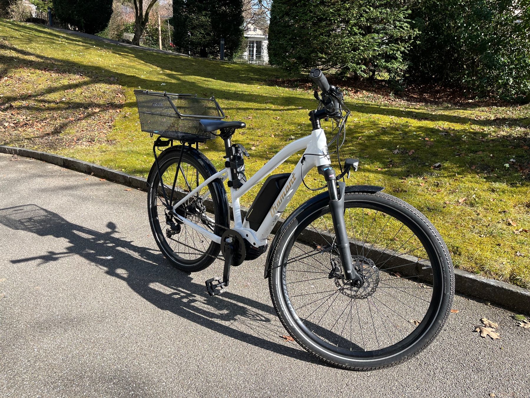 Diamant Biciclette: Diamant Zing+ GOR 500Wh Trapez / Weiss / Small – Usato da St Gallen venduto da ger_f2bk 3