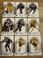 SC Bern, Sportzoo, Playoff, Basis Set Komplett