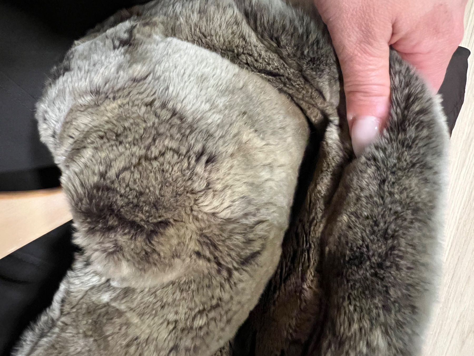 Woolrich Cappotti: Woolrich Daunenparka – Usato da Bäretswil venduto da SoGi1519 2