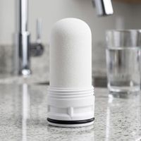 Purit Ersatz Filter Wasser Reduziert Chlor Kalk Bakterien