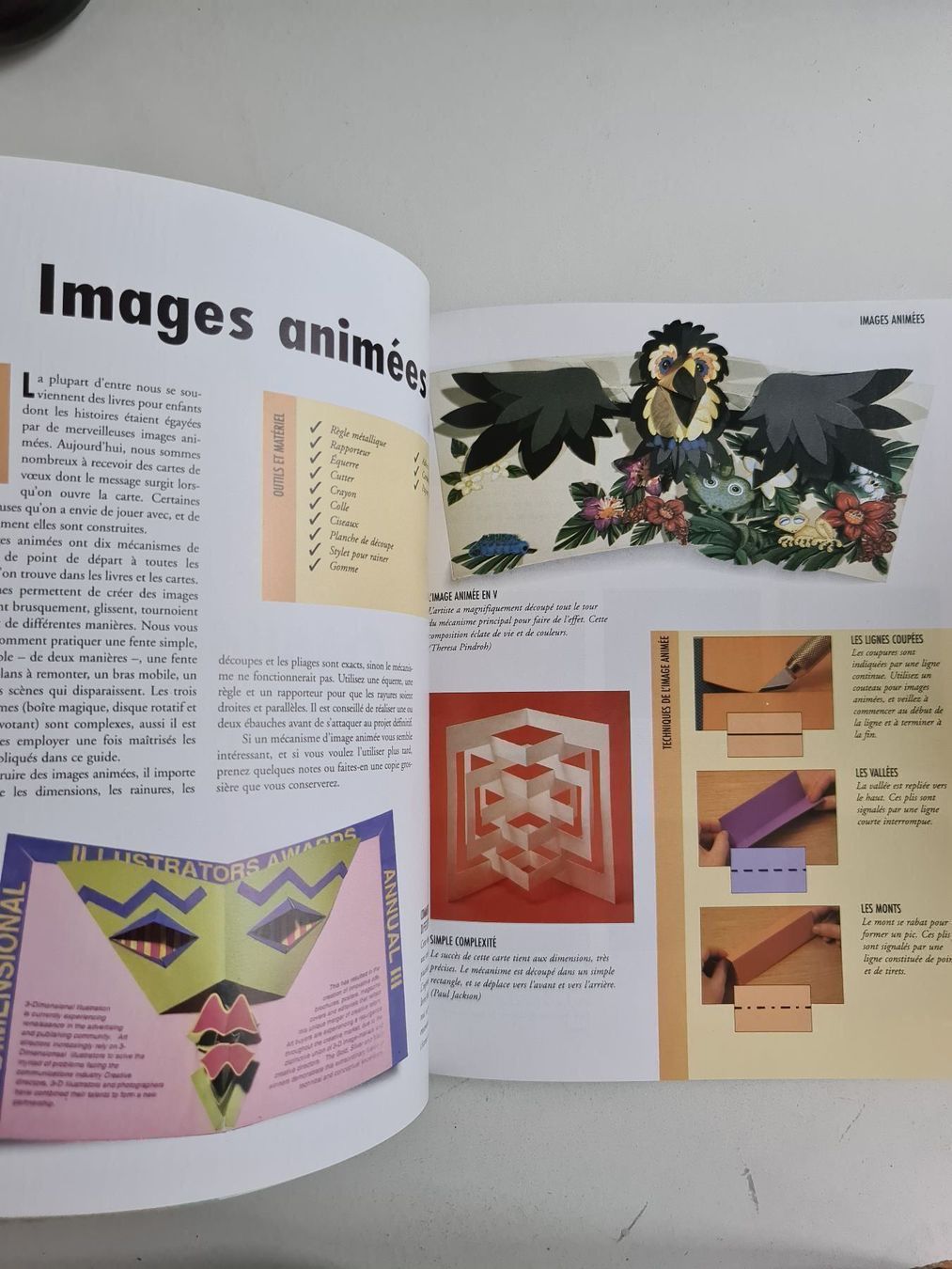 Libri: Livre de bricolage papier – Usato da Genève venduto da Saleena 4