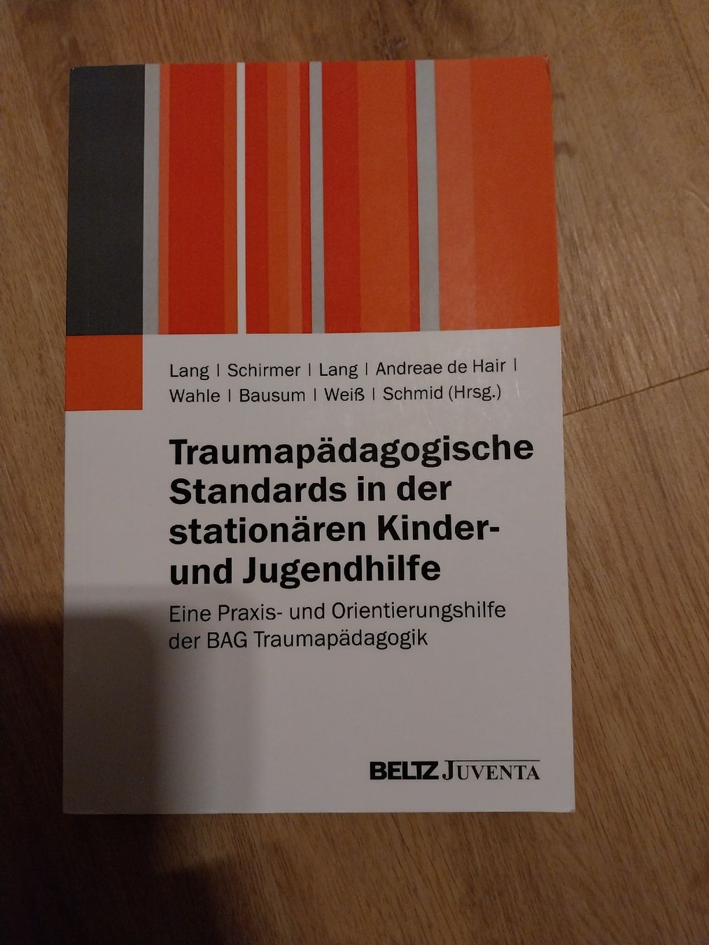 Libri: Traumapädagogik: Standards Kinder- und Jugendhilfe – Usato da Rorschach venduto da Mitsch38