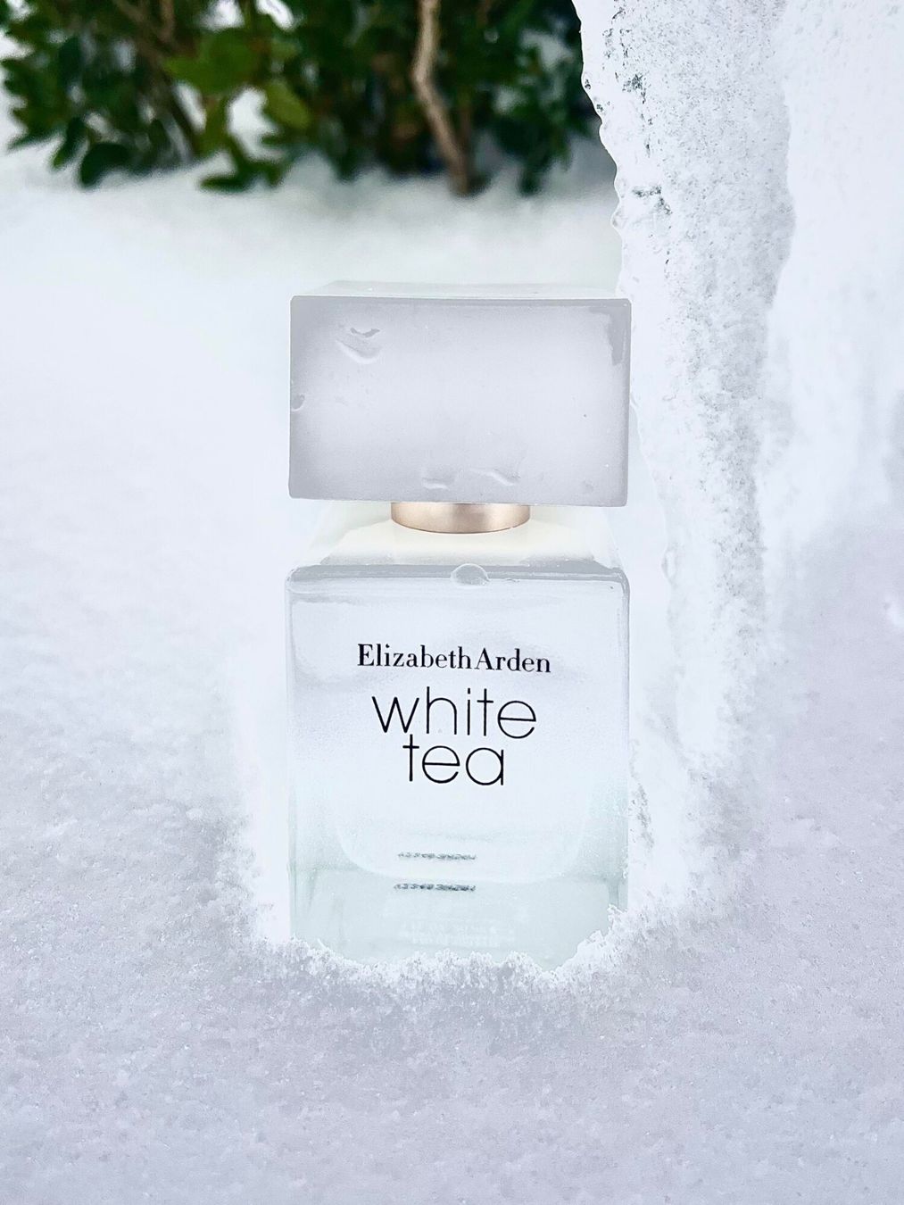 Parfum & Eau de Toilette: 3 ml sample - Elizabeth Arden - White tea - EDT – Neu und originalverpackt aus Zürich von mel_nbh7 3