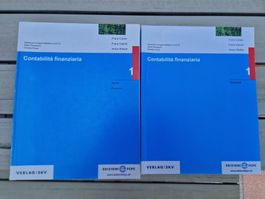 Contabilità Finanziaria 1 in italiano, fuori stampa RARO