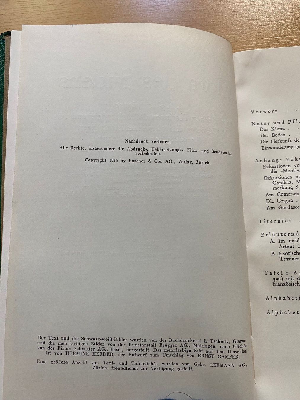 Libri: Flora des Südens, C. Schroeter, 1936 – Usato da Zürich venduto da 2013tg 3