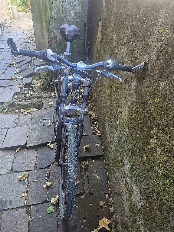 Biciclette: VTT tout suspendu – Usato da Mex VD venduto da Janmichel 1