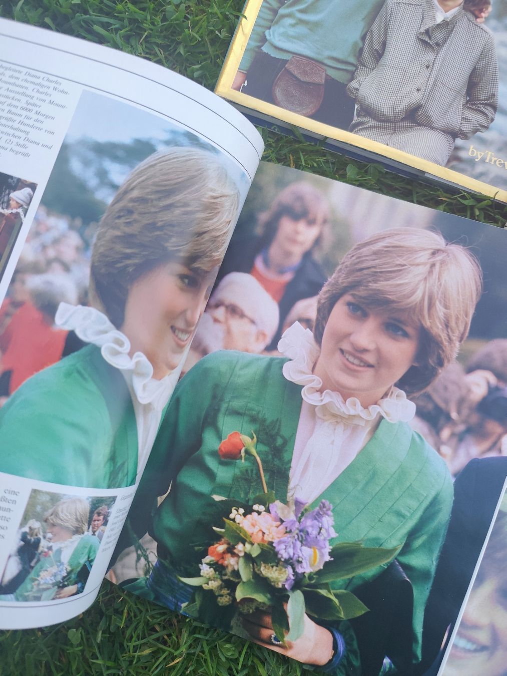 Libri: Princess Diana Books Collection – Usato da Mägenwil venduto da VintageGirly 3