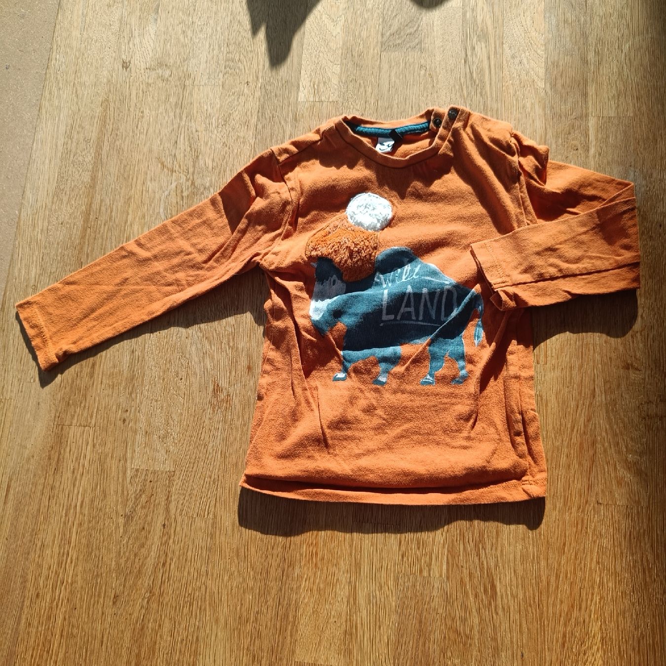 Pullover & Sweatshirts: Pullover Grösse 92 – Gebraucht aus Jaberg von urig17.