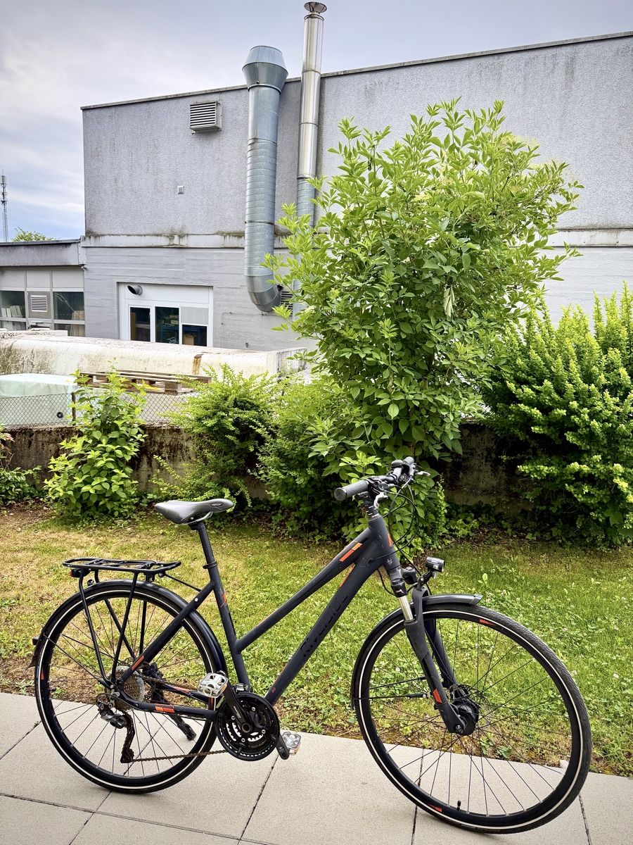 Biciclette: Trekkingvelo L  – Usato da Bern venduto da ser_7vtn