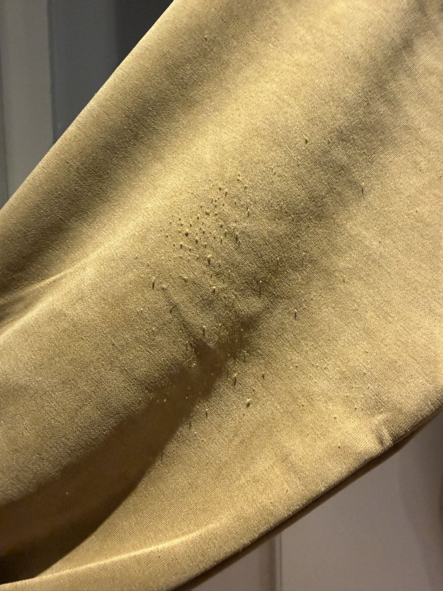 Maison 123 Maglioni & Felpe: Maison 123 Sweatshirt beige size S – Usato da Genève venduto da jud_xrl8 3