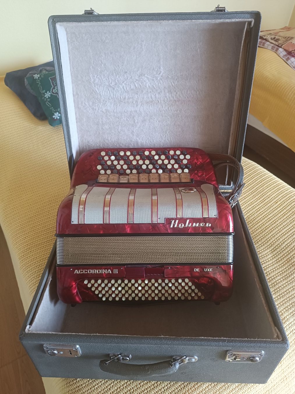 Hohner Strumenti musicali: Hohner Accordina III de Luxe – Usato da Borex venduto da Vince24 2