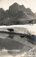 Auf dem Furkapass