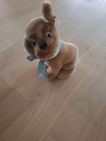 Süsser Steiff Hündli, Rarität mit Knopf im Ohr, Vintage!