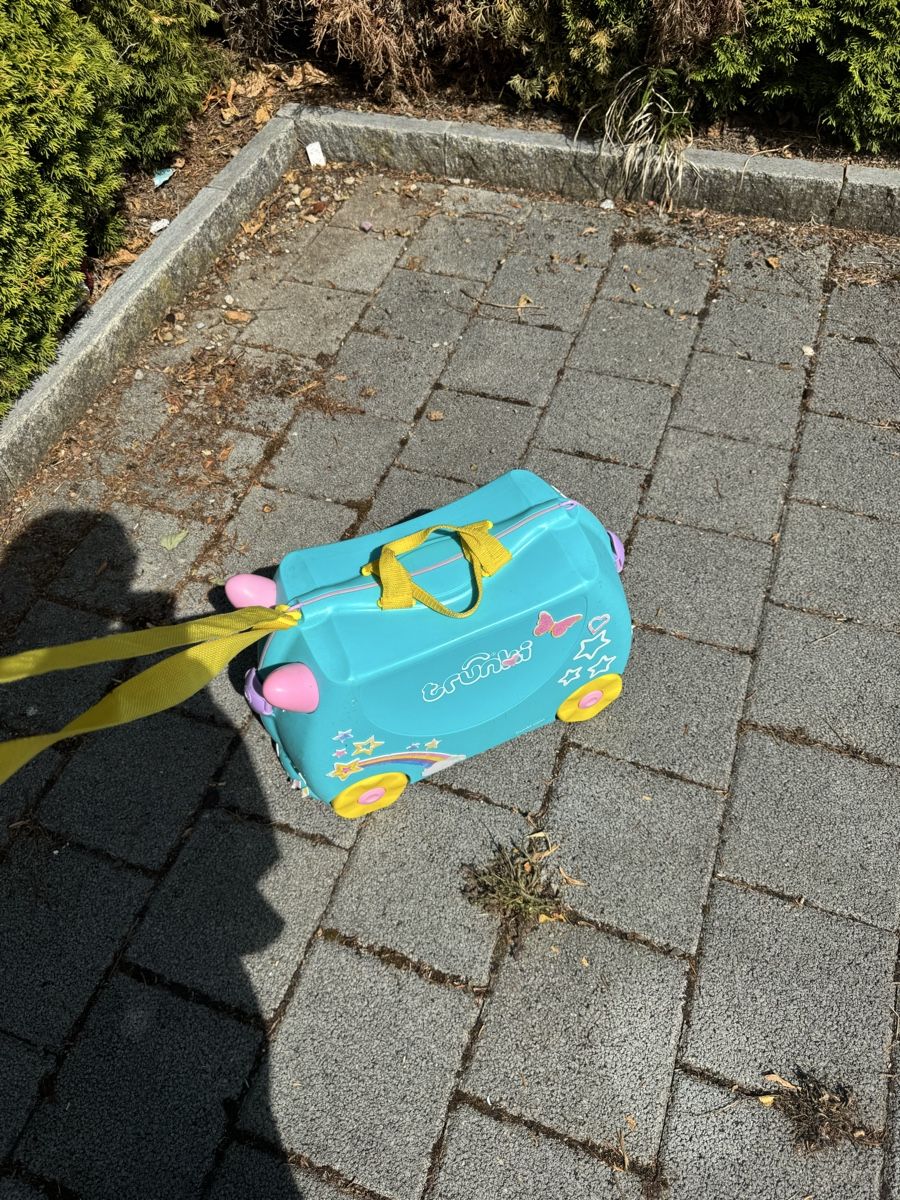Valigie: Trunki – Usato da Wohlen AG venduto da bongo8nunu 1
