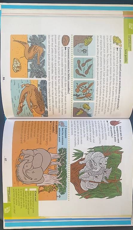 Libri: L?on premier Larousse 4-7ans  – Usato da Genève venduto da ger_7jy8 1