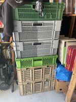 6 Kisten Box Aufbewahrung Umzug 60x40cm