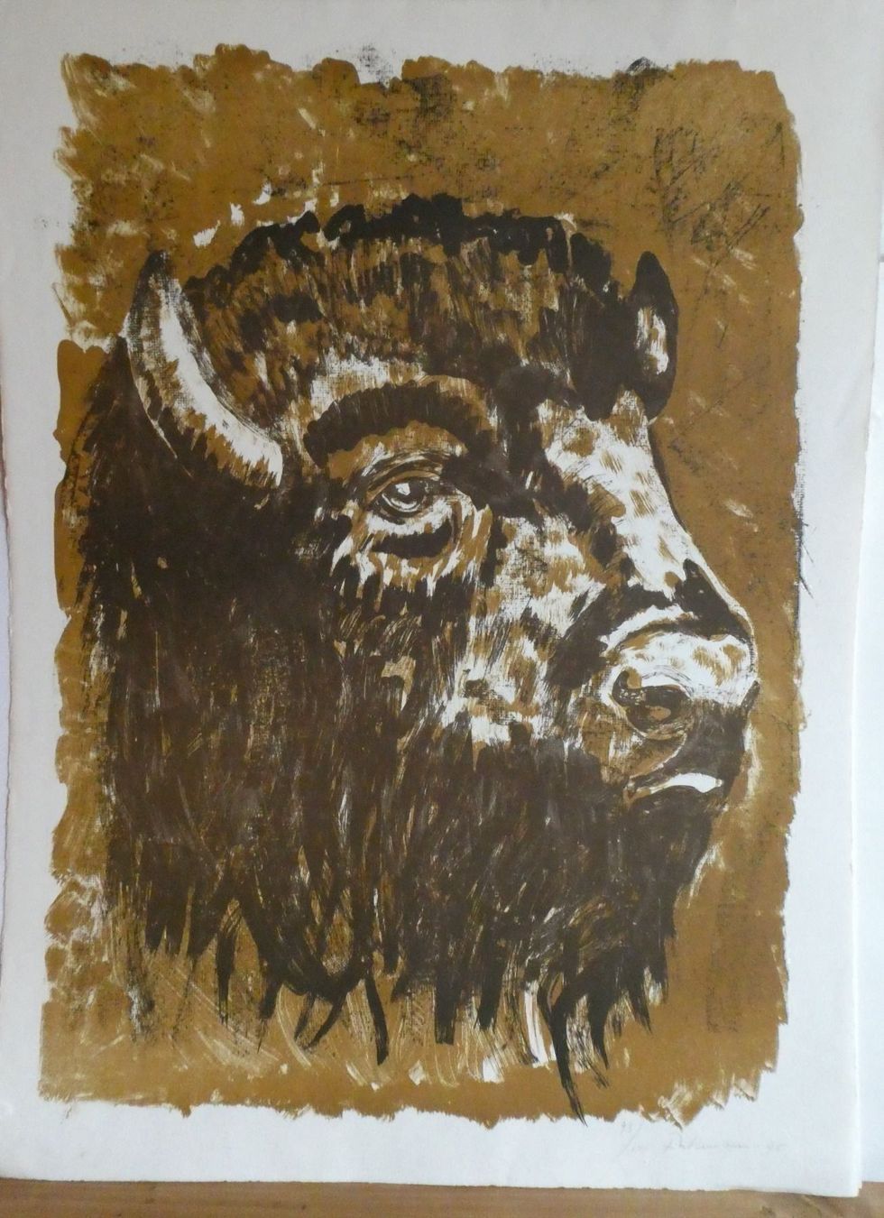 Grafica & Litografie: Lithographie John (?) Ulmann Büffel – Usato da Embrach venduto da Illingen13