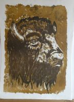 Lithographie John (?) Ulmann Büffel