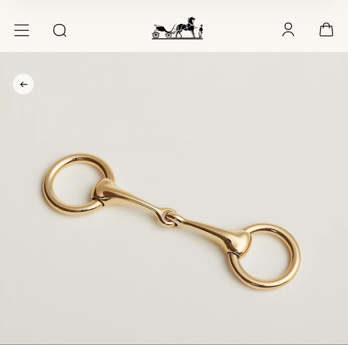 Foulard & Sciarpe: Hermès Twilly Ring – Nuovo e nell'imballaggio originale da Oberägeri venduto da sab_qjy5 2