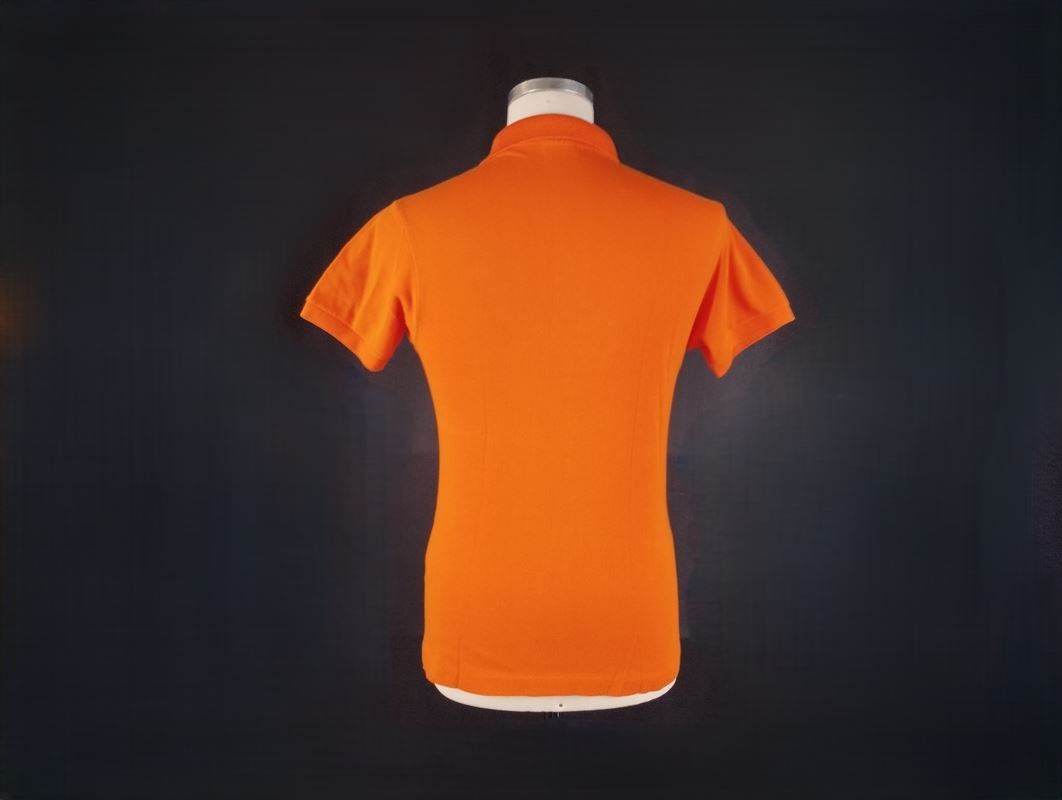 Lacoste Magliette Polo: LACOSTE Polo Hemd orange Gr. 2 – Usato da Schübelbach venduto da Restwert_Schubelbach 2