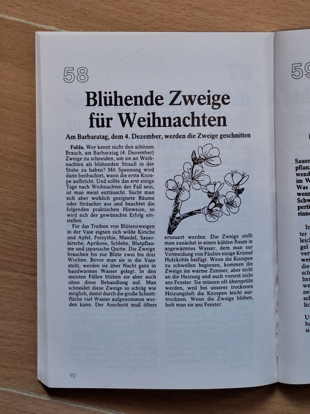 Libri: BIOTIPS aus dem Klostergarten – Usato da Eriswil venduto da corolla05 1