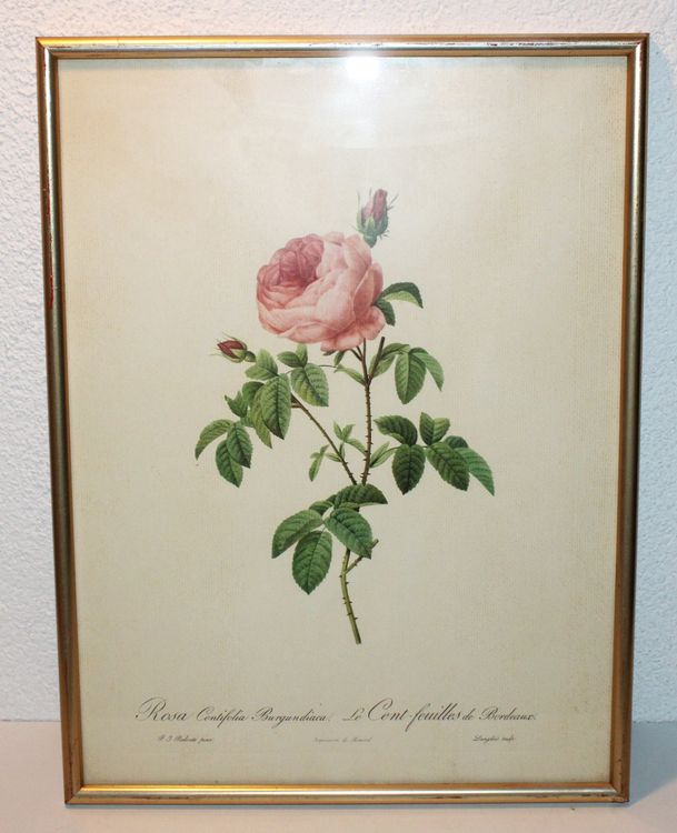 Kunstdruck „Nudeln Nudeln“ Von Michael Stockmann – 70x100 Cm, Hochwertiger Druck, Poster Oder Gerahmt
