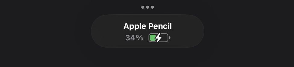 Penna & Evidenziatori: Apple Pencil 2nd Generation – Usato da Oberwil BL venduto da dur_c9mp 3