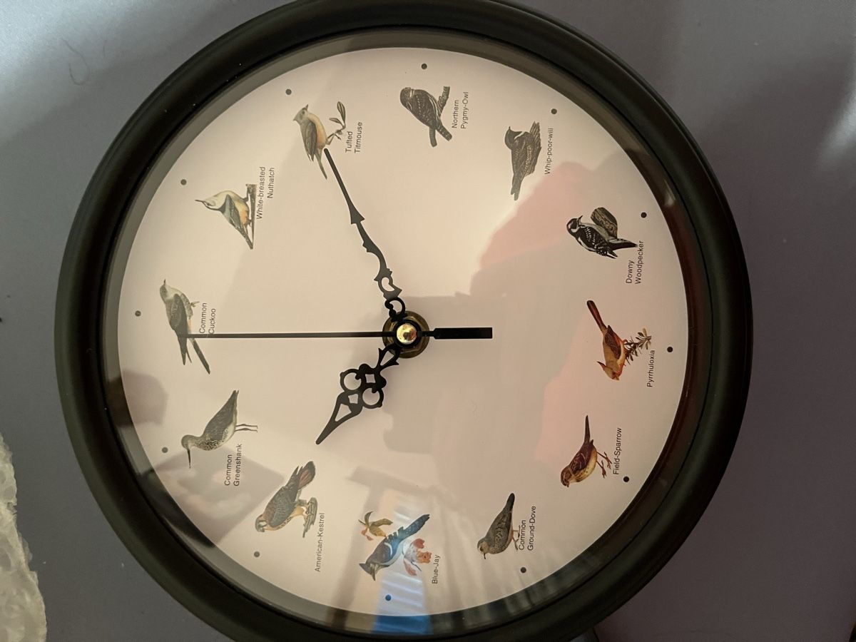 Orologi: Wand Uhr mit Ständer – Nuovo e nell'imballaggio originale da Flaach venduto da wec_2wsx 1