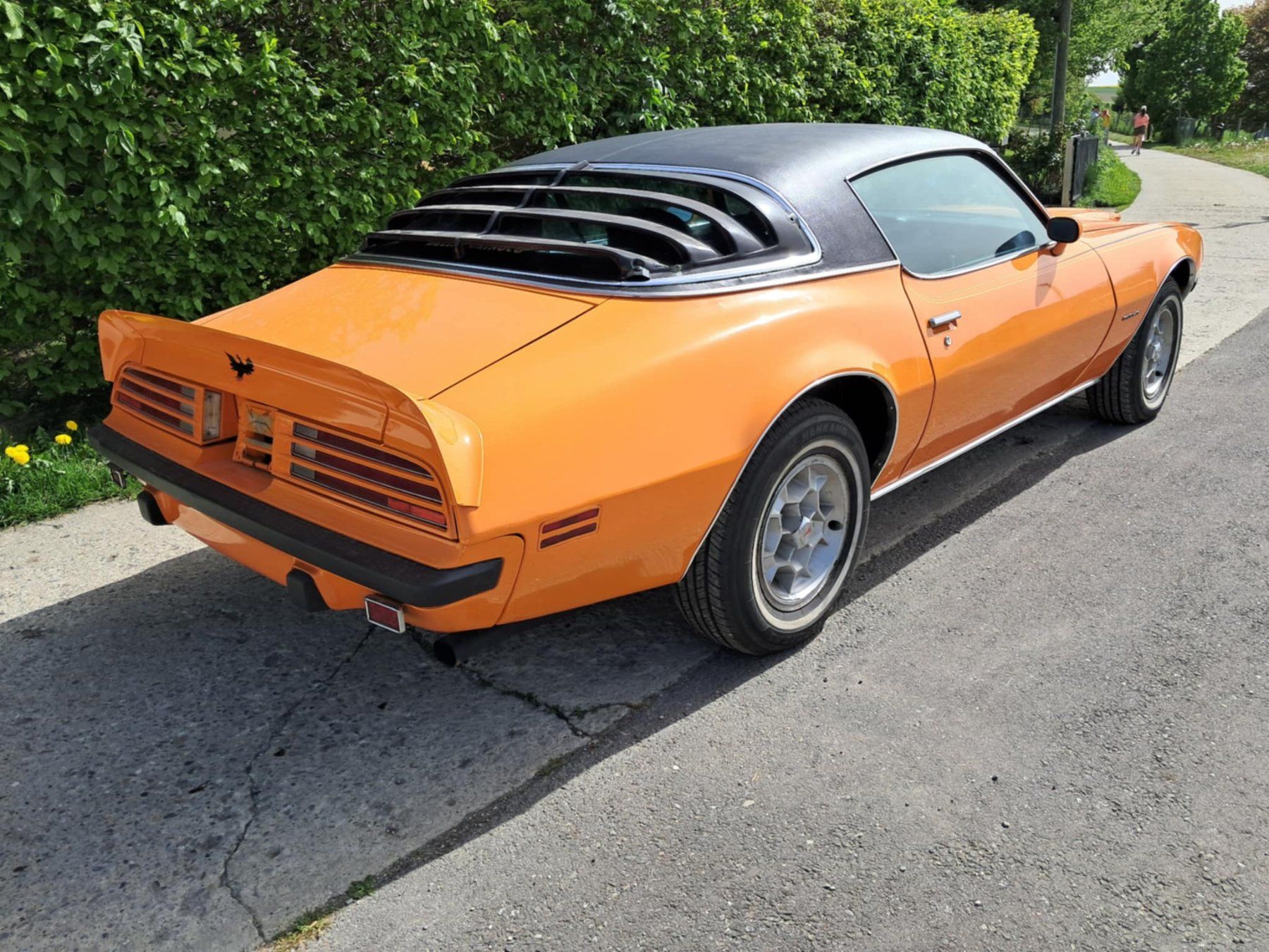 Pontiac Automobili: '75 Pontiac Formula 400 matching – Usato da PRILLY venduto da 55b_nh8l 1