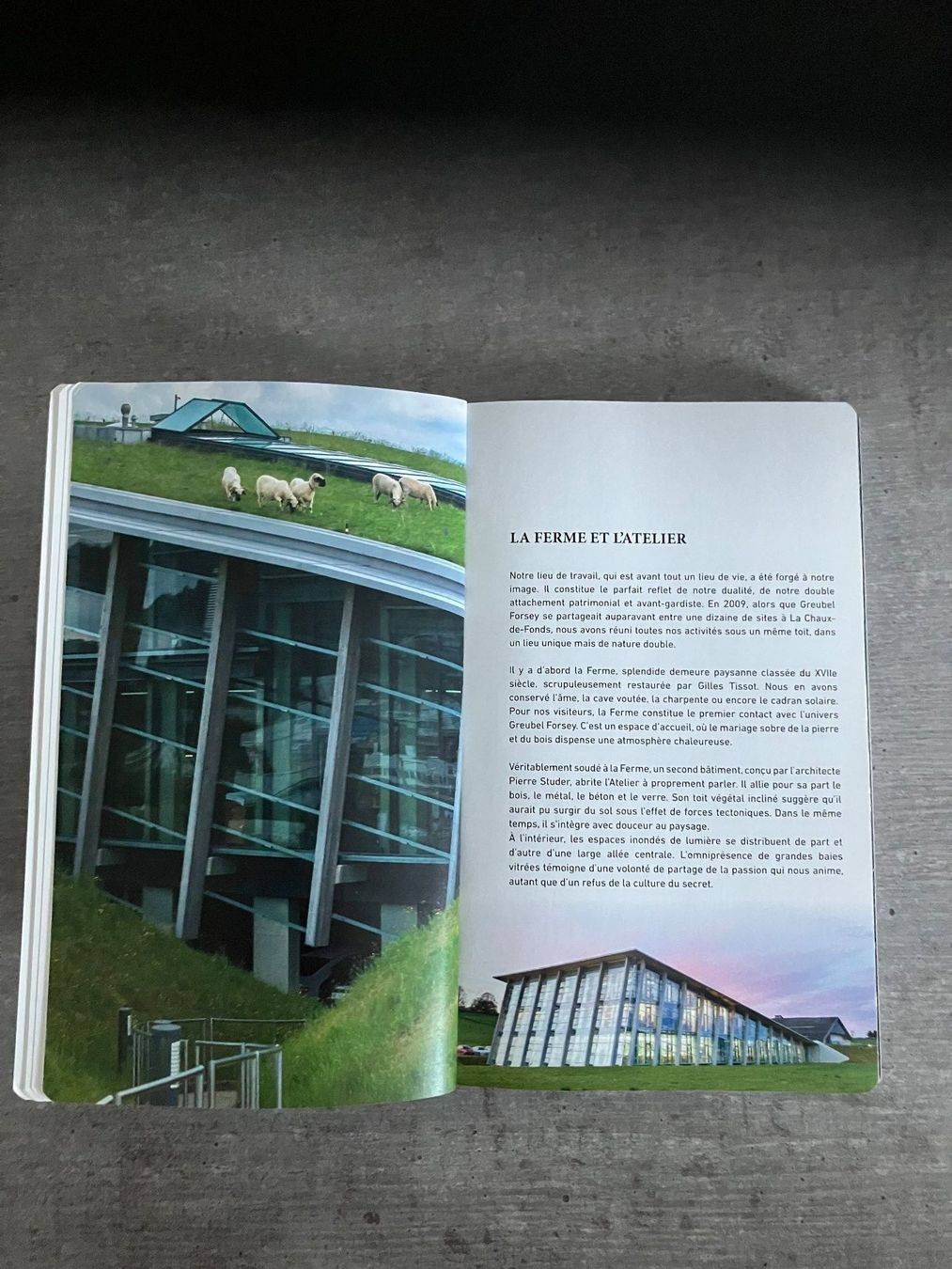 Libri: Carnet technique 2018 - GREUBEL FORSEY – Nuovo (secondo la descrizione) da Cortaillod venduto da car_f6v6 2