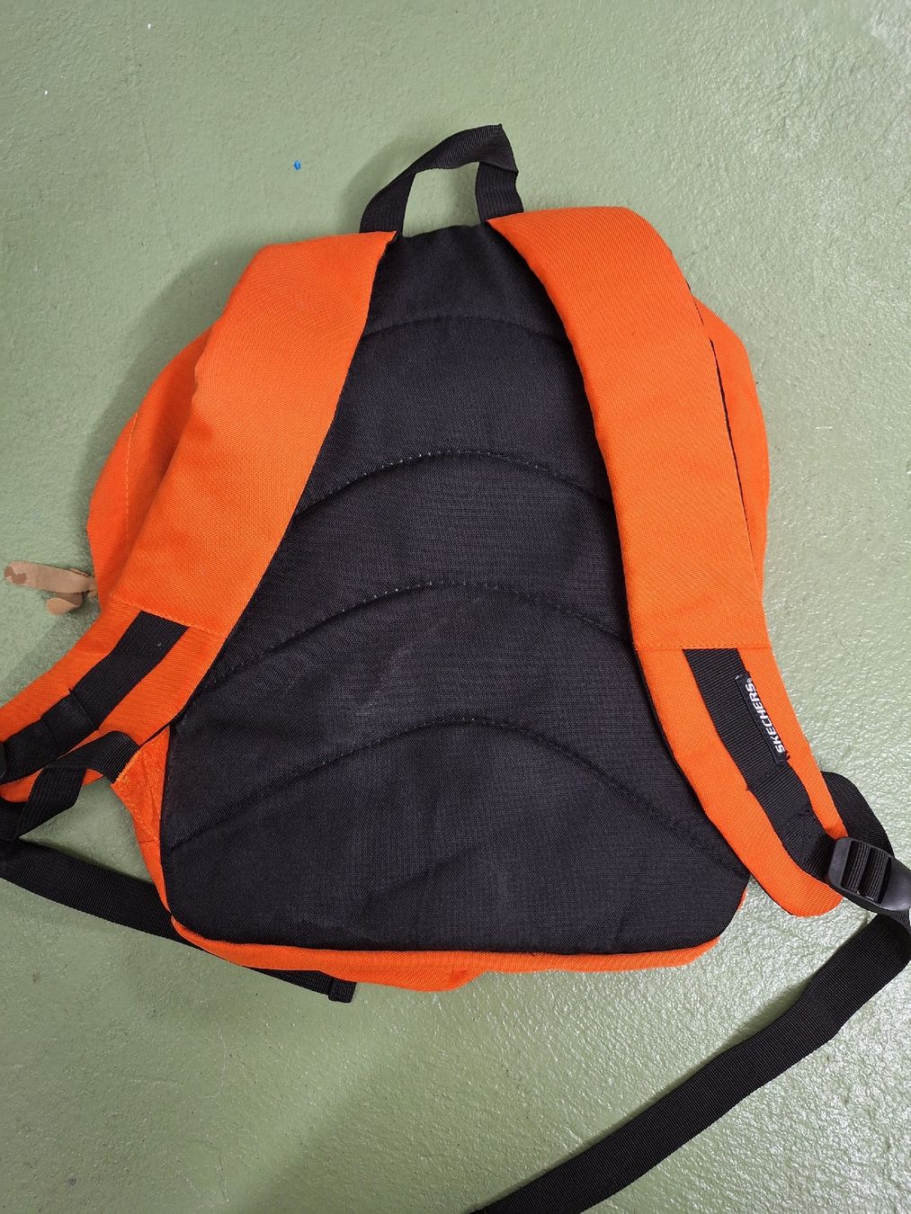Zaini: Rucksack Skechers – Usato da Niederglatt ZH venduto da Bobsli 2