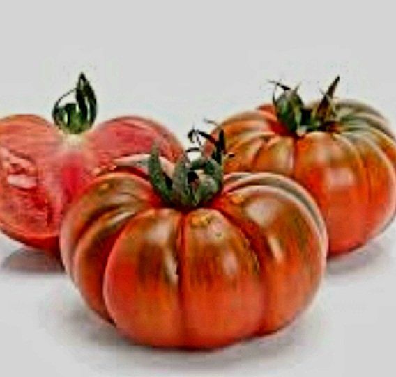 Pflanzen & Samen: Ab 5.- fr 5 Samen schwarze RIPPENTOMATE – Neu und originalverpackt aus Rovio von POSITIFFARTandPLANTS 4