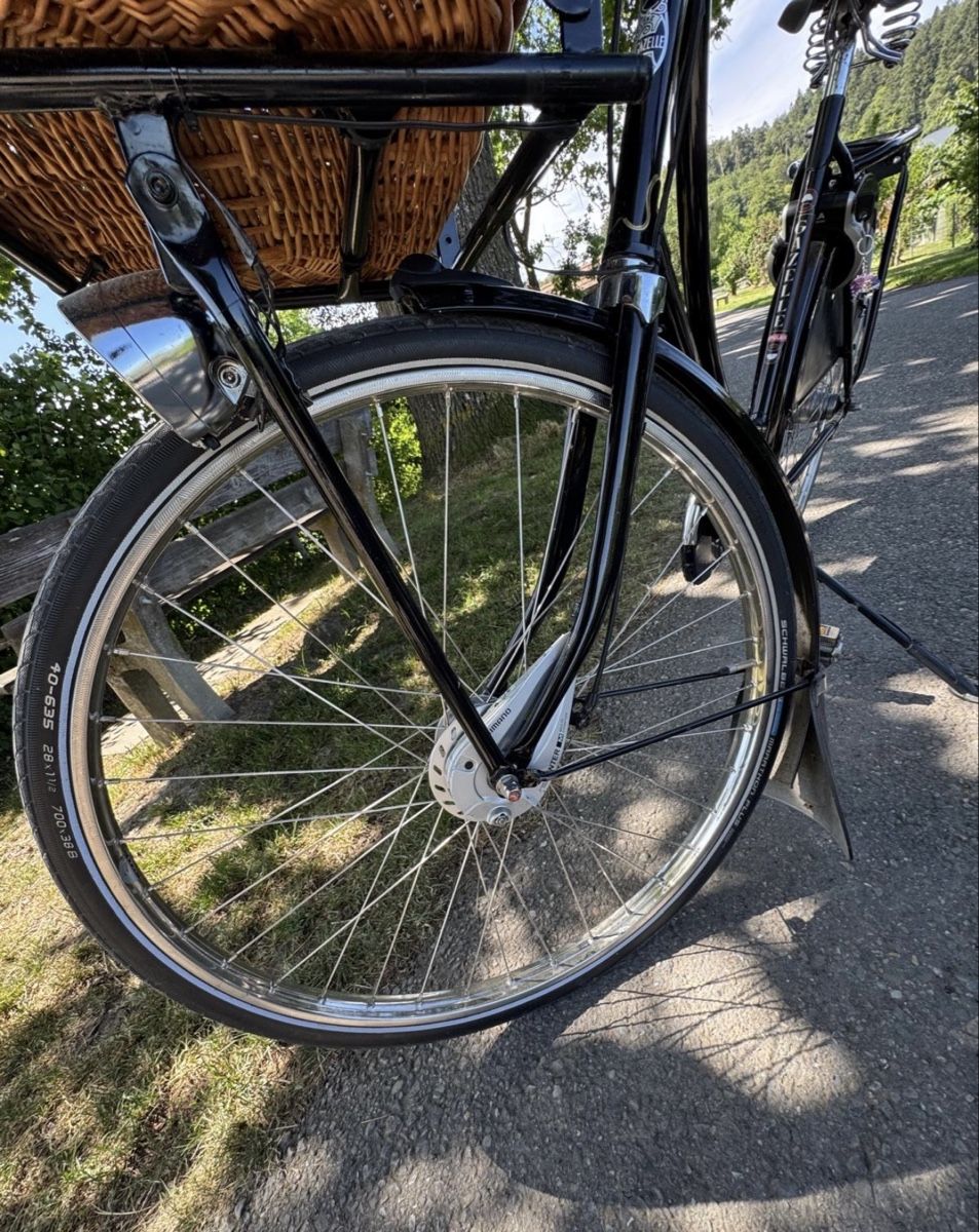 Gazelle Biciclette: Gazelle Hollandvelo Popular C7 – Usato da Fällanden venduto da Caramel7 8