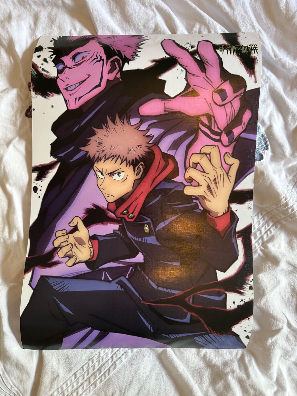 Foto & Immagini: Anime poster – Usato da Lumino venduto da mar_9pn2