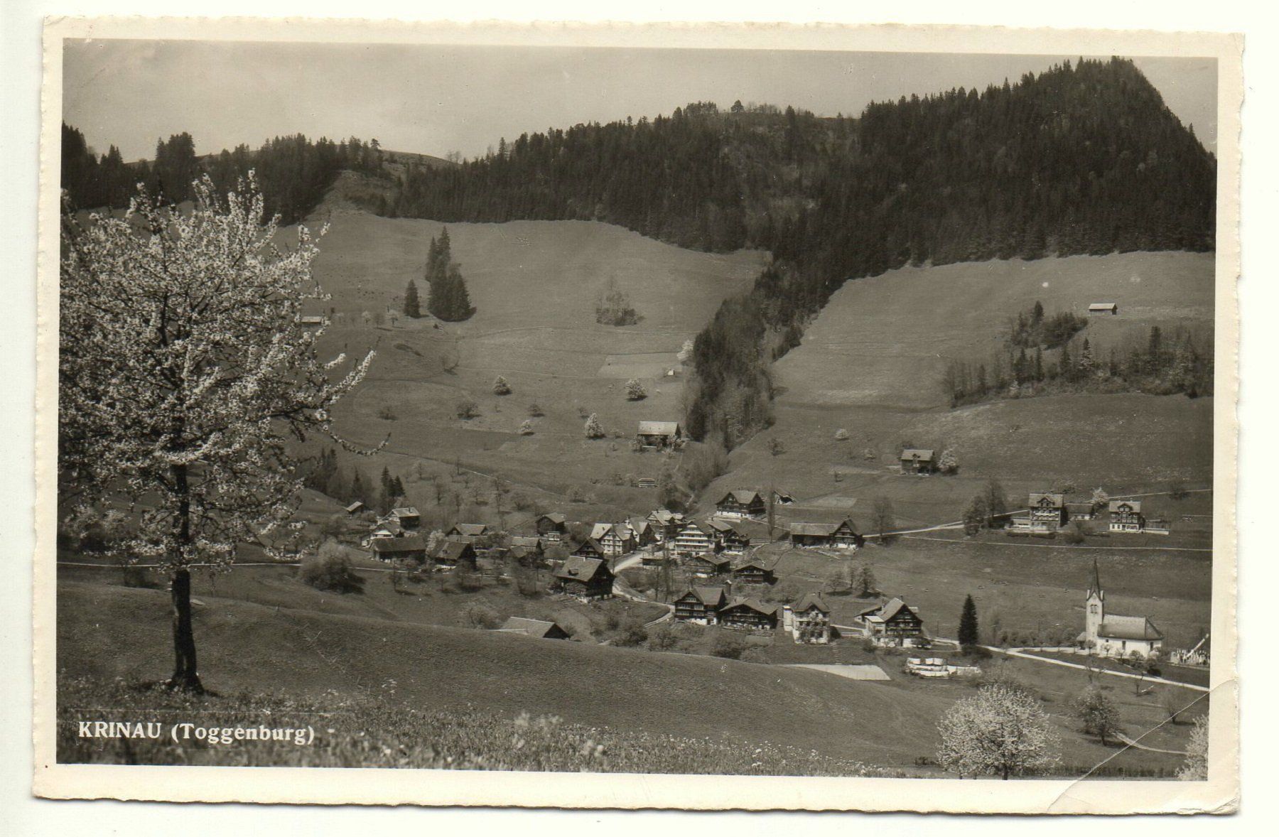Cartes postales: KRINAU (Toggenburg) – D'occasion à Jona par philajona