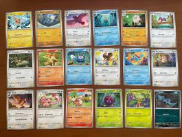Pokemon Karten Set (Versand gratis)