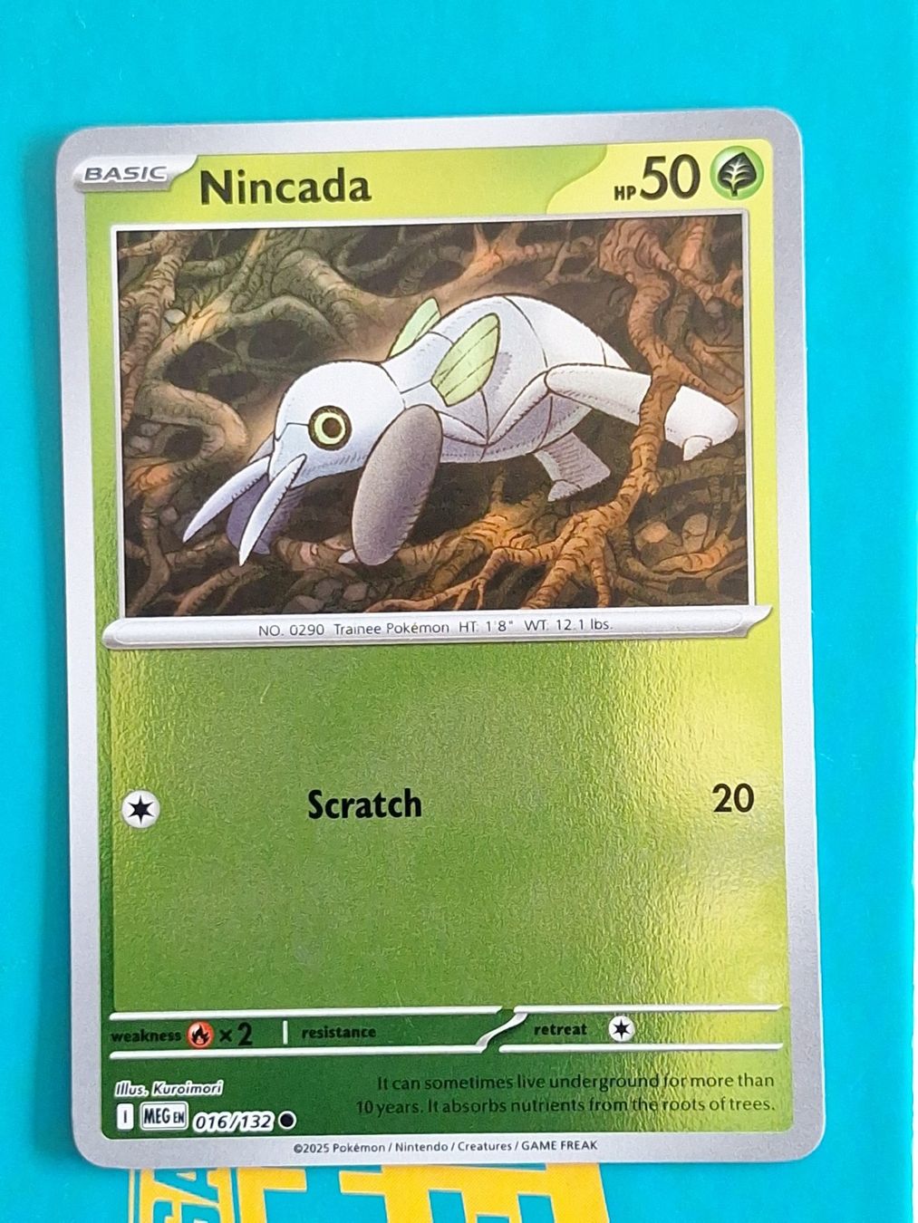 Pokémon Carte collezionabili: NIncada - Reverse Holo Pokemon Mega Evolution #1.8 – Usato da Altstätten SG venduto da GGsGameshop