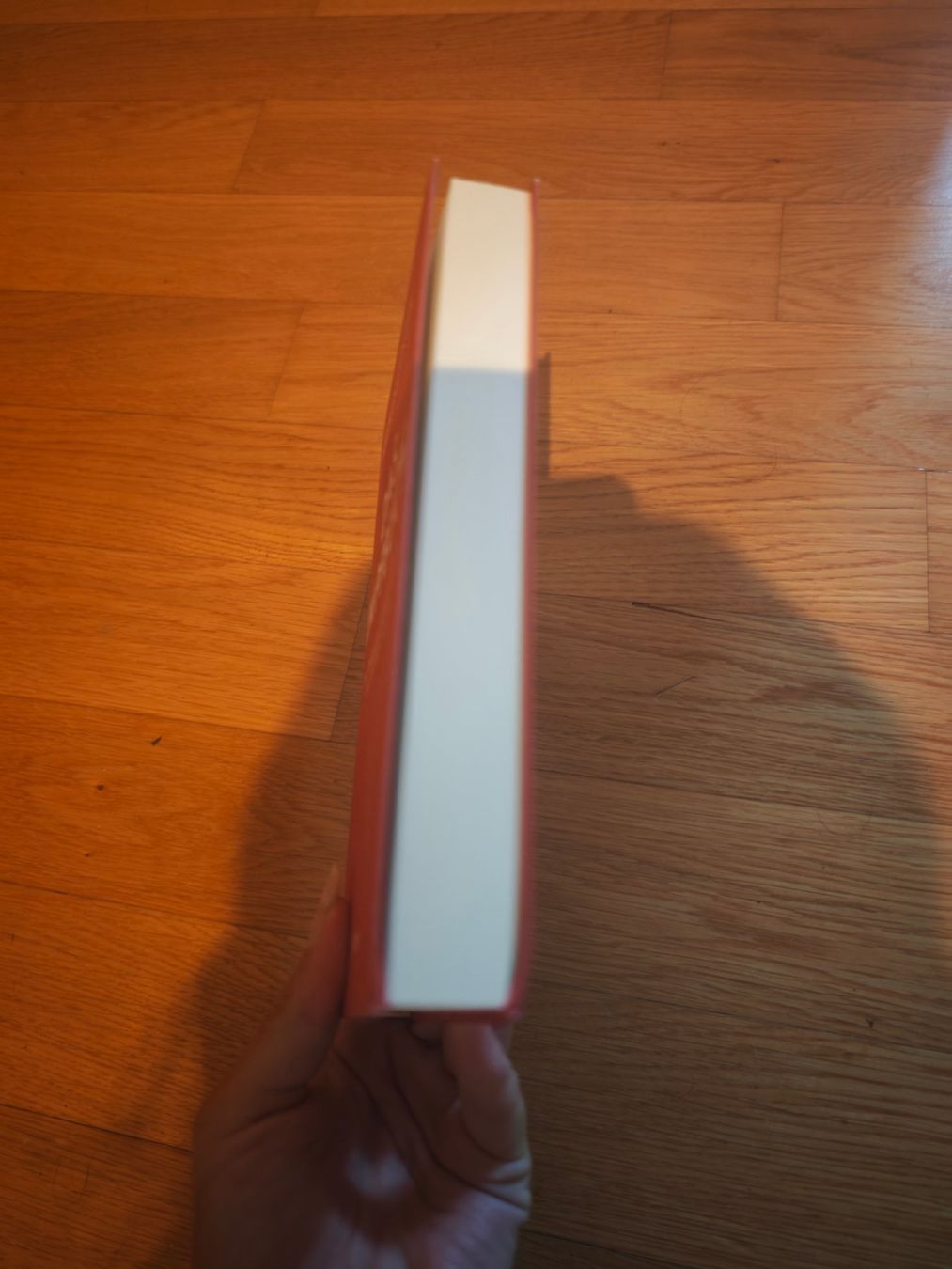Livres: Das Impfbuch – D'occasion à Bonstetten par lin_fy7n 1