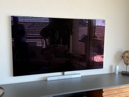 Flachbildfernseher LG OLED OLED65G49