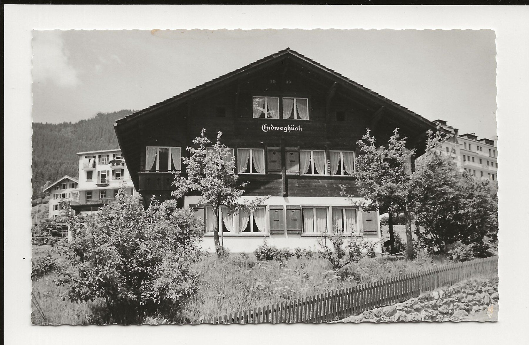 Cartoline postali: AK ca.1950 Grindelwald Chalet Endweghüsli – Usato da Greifensee venduto da 315WDO