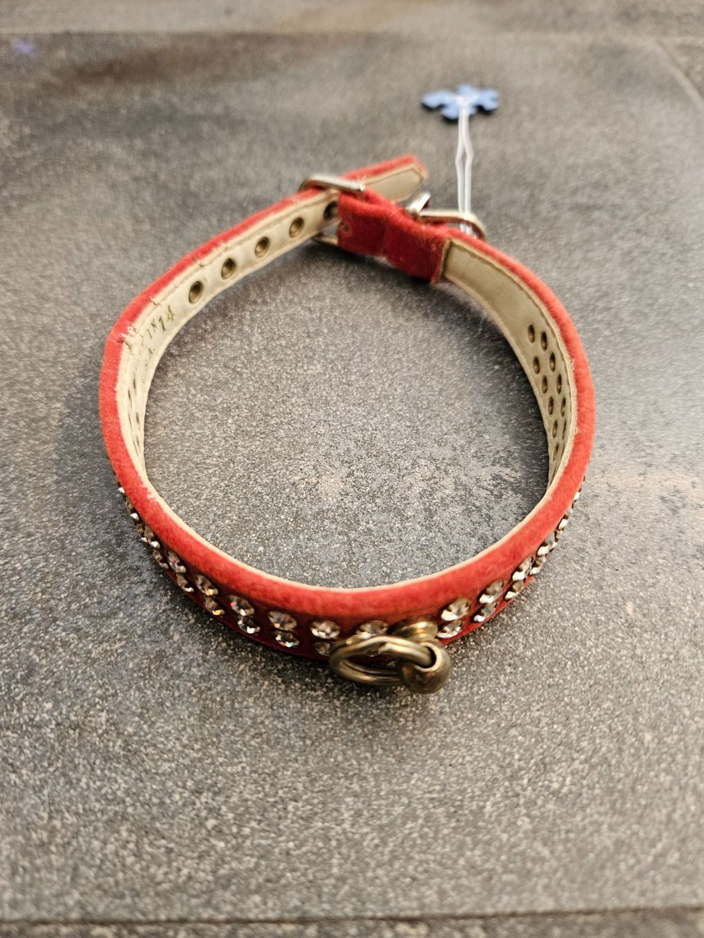 Guinzagli & Collari: Hundehalsband, rot, mit Strass, Samt, klein – Nuovo (secondo la descrizione) da Ormalingen venduto da nomolnoi