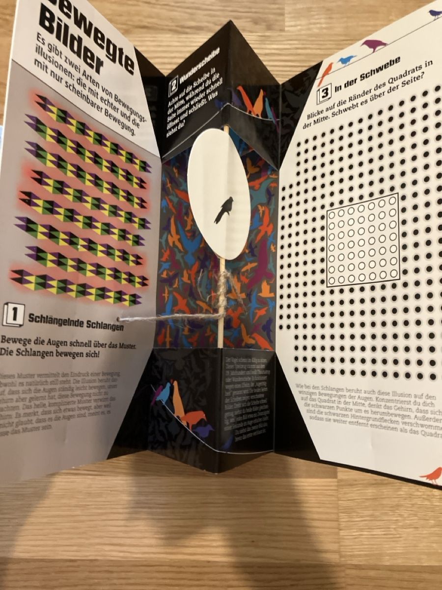 Libri: Optical Illusions Book with Pop-Ups - Mind-Bending Fun! – Usato da Zürich venduto da papperlapapp1 2